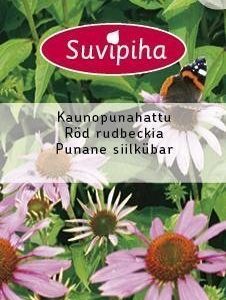 Suvipiha Echinacea Purpurea Kaunopunahattu