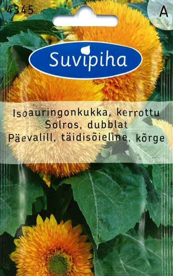 Suvipiha Helianthus