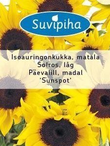 Suvipiha Helianthus