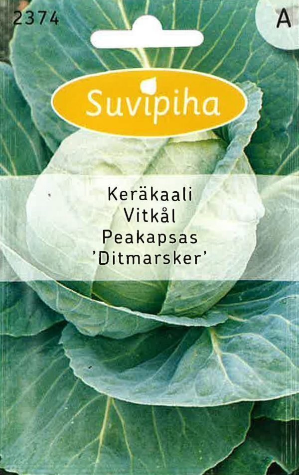 Suvipiha Keräkaali Ditmarsker