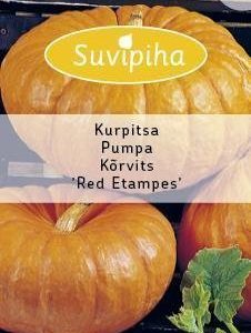 Suvipiha Kurpitsa Red Etampes Annos