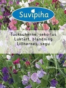 Suvipiha Lathyrus