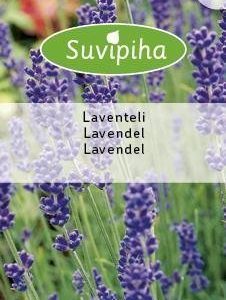 Suvipiha Laventeli