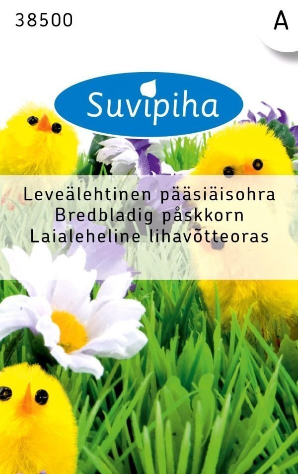 Suvipiha Leveälehtinen Pääsiäisohra