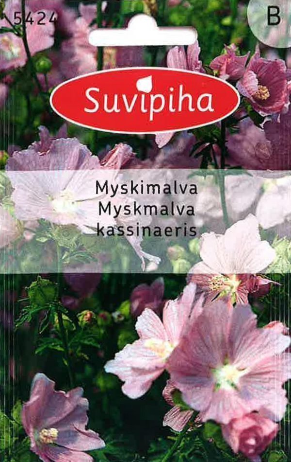 Suvipiha Malva Moschata