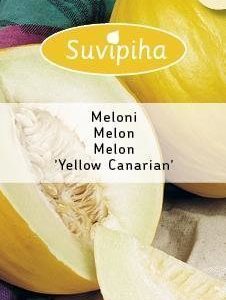 Suvipiha Meloni Yellow Canarian