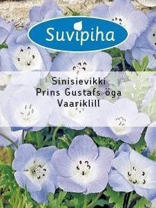 Suvipiha Nemophila Menziesii