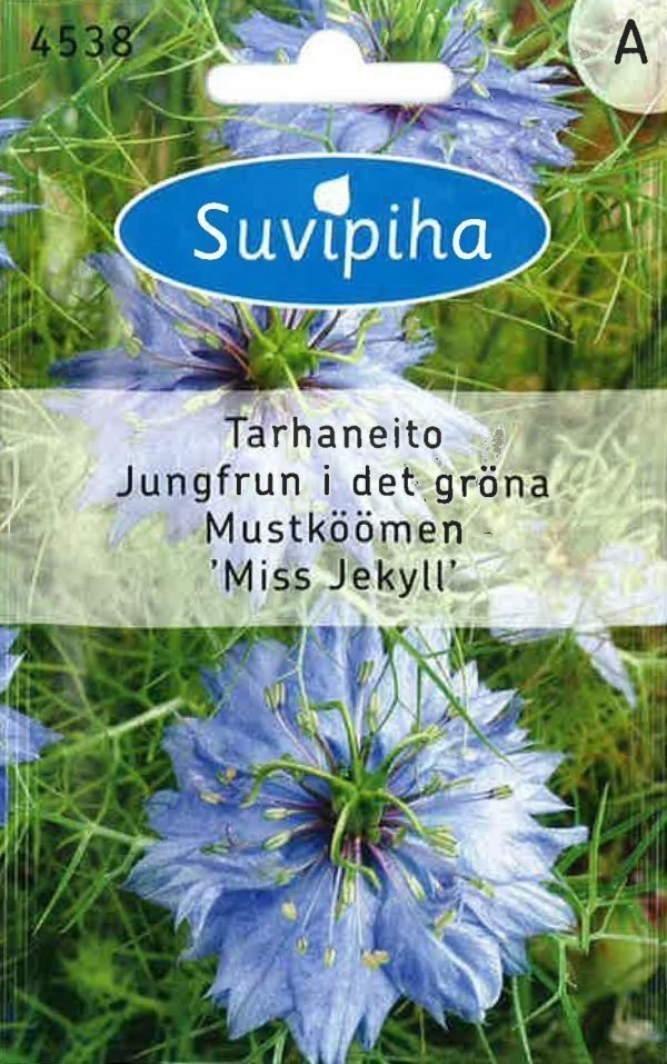 Suvipiha Nigella