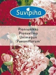 Suvipiha Papaver