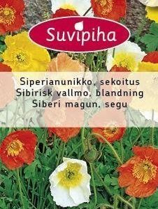 Suvipiha Papaver