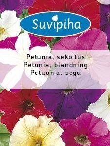 Suvipiha Petunia