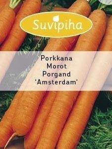 Suvipiha Porkkana Amsterdam