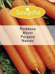 Suvipiha Porkkana Nantes