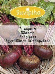 Suvipiha Punajuuri Egyptiläinen