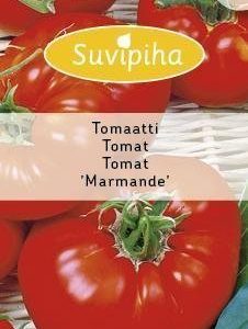 Suvipiha Tomaatti Marmande