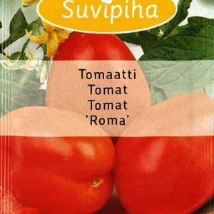 Suvipiha Tomaatti Roma