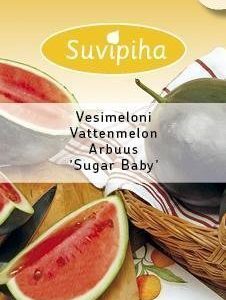 Suvipiha Vesimeloni Sugar Baby