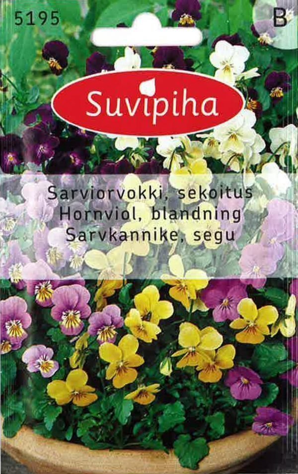 Suvipiha Viola