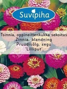 Suvipiha Zinnia Oppineittenkukka Lilliput Sekoitus